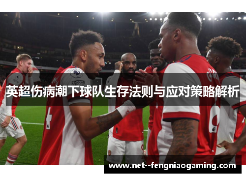 英超伤病潮下球队生存法则与应对策略解析
