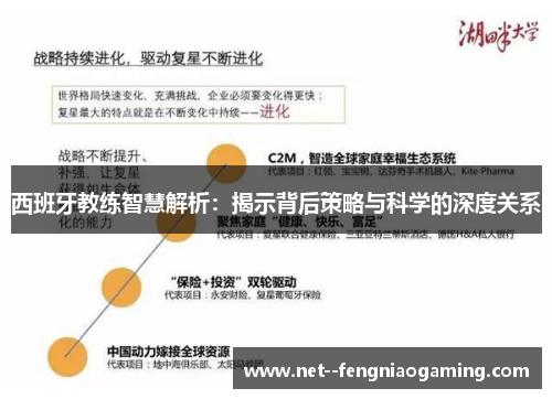 西班牙教练智慧解析：揭示背后策略与科学的深度关系