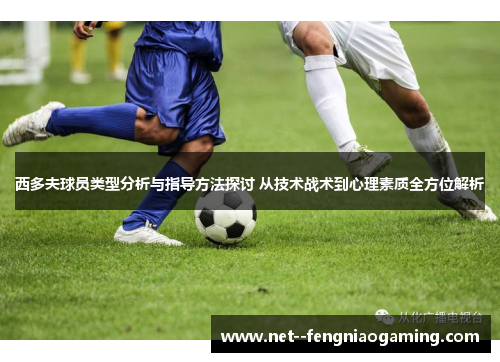西多夫球员类型分析与指导方法探讨 从技术战术到心理素质全方位解析