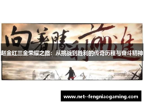 赵金红三金荣耀之路：从挑战到胜利的传奇历程与奋斗精神