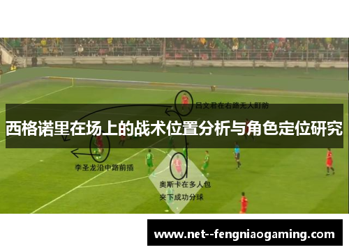 西格诺里在场上的战术位置分析与角色定位研究