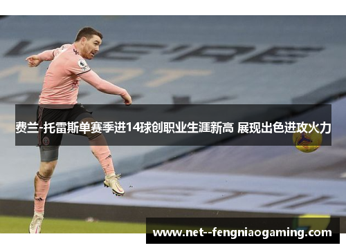 费兰-托雷斯单赛季进14球创职业生涯新高 展现出色进攻火力