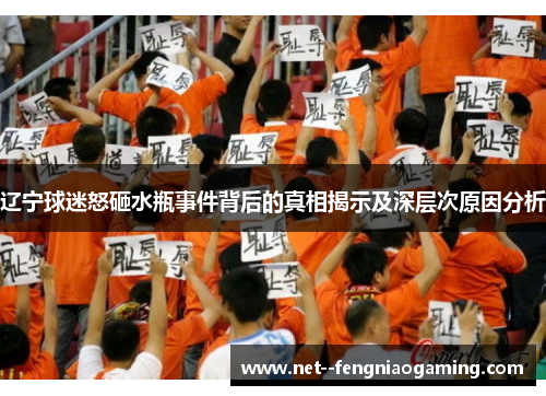 辽宁球迷怒砸水瓶事件背后的真相揭示及深层次原因分析