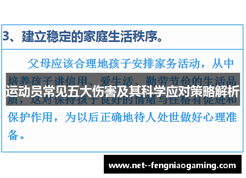 运动员常见五大伤害及其科学应对策略解析