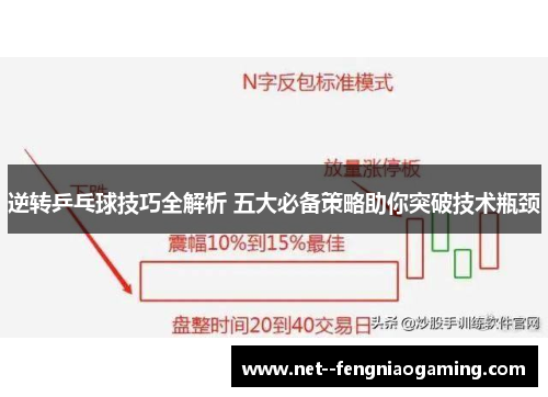 逆转乒乓球技巧全解析 五大必备策略助你突破技术瓶颈