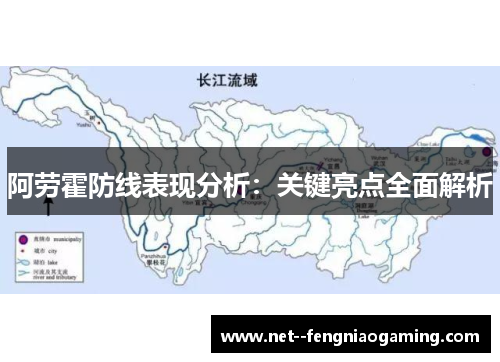 阿劳霍防线表现分析：关键亮点全面解析