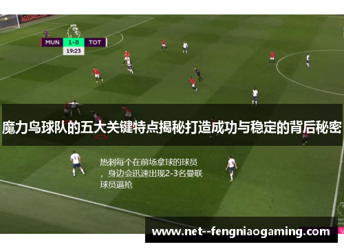 魔力鸟球队的五大关键特点揭秘打造成功与稳定的背后秘密